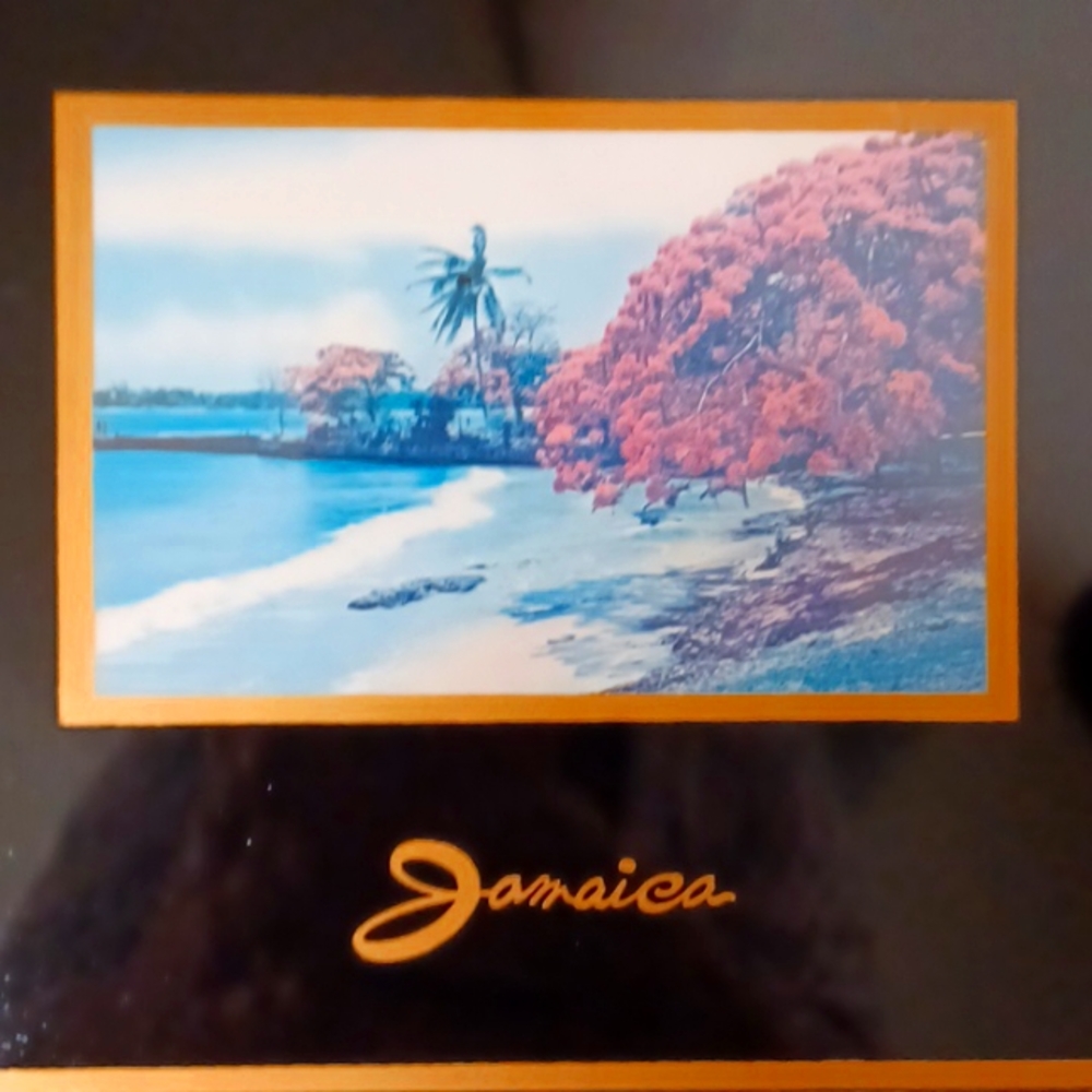 VTG 1960's Jamaica Picture Trivets